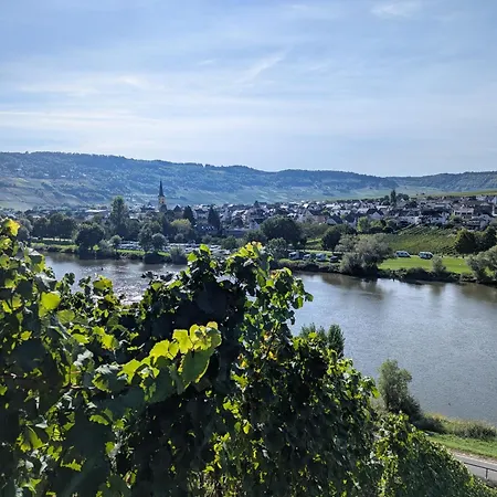 Gaestehaus Weingut Heribert Boch トリッテンハイム