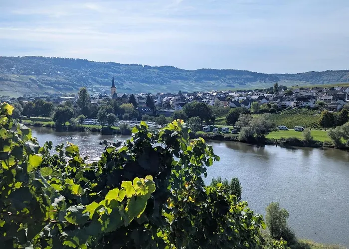 Gaestehaus Weingut Heribert Boch Trittenheim